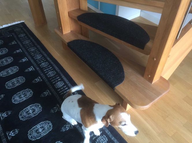 Huvudbild Step